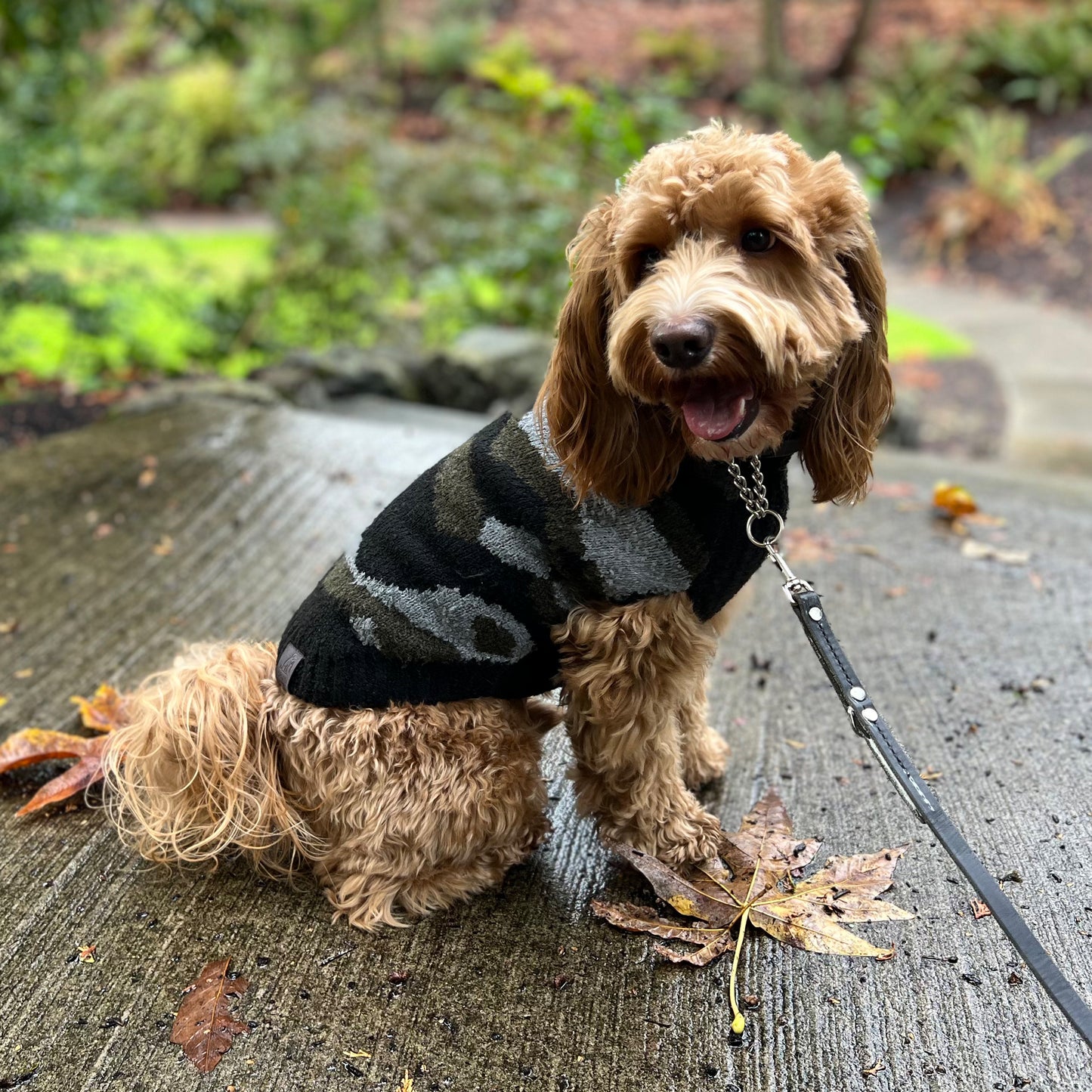 Camo Dog Sweater