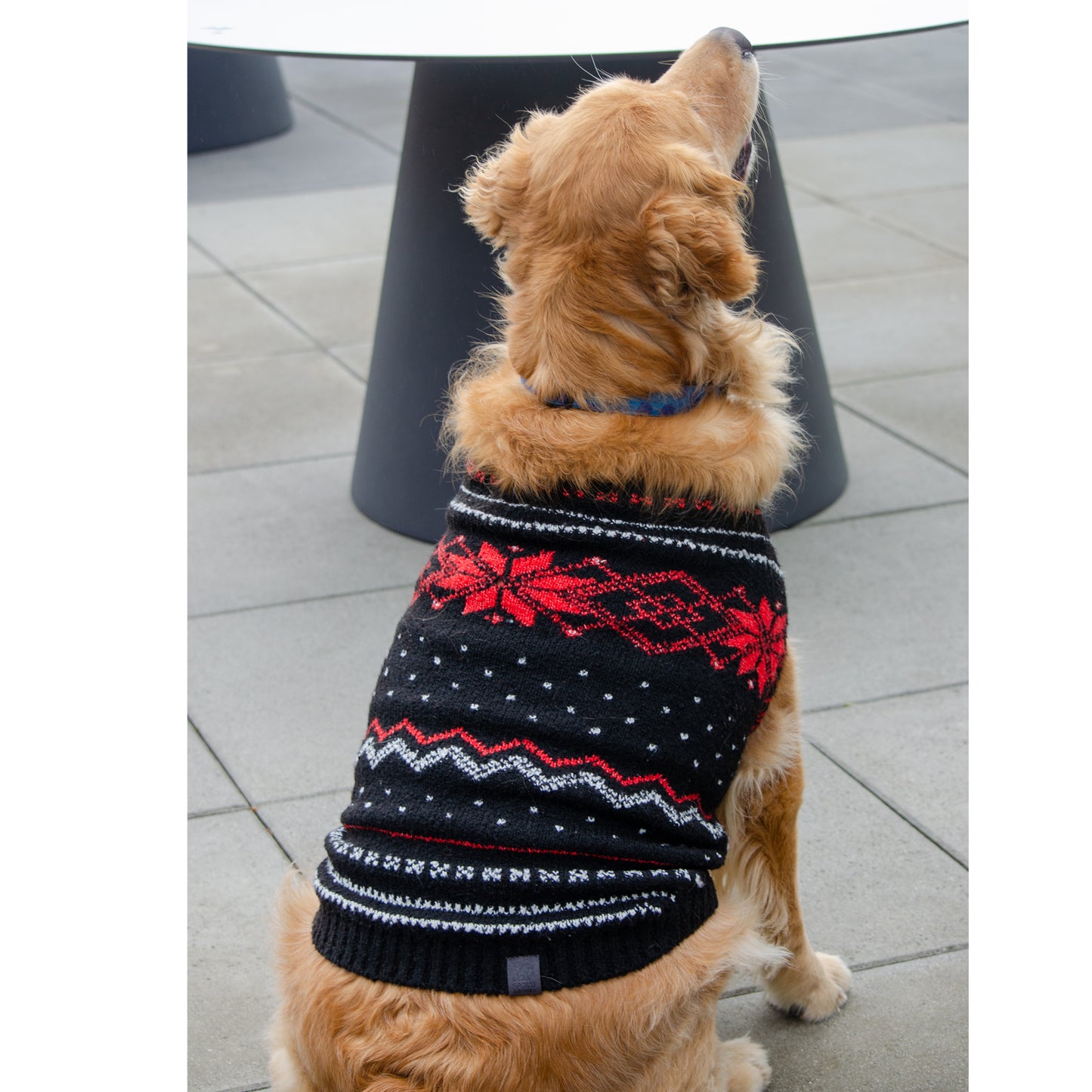 Winter Fair Isle Dog Sweater