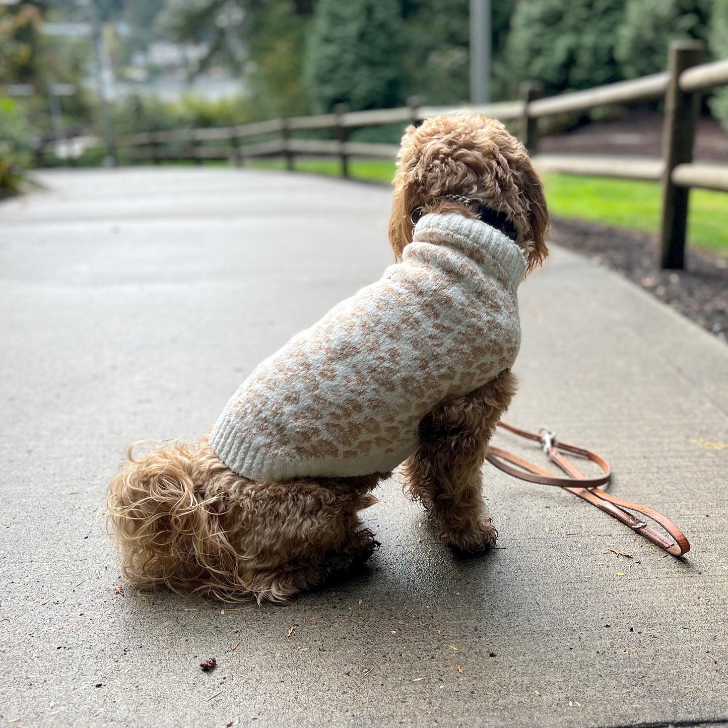 Leopard Dog Sweater