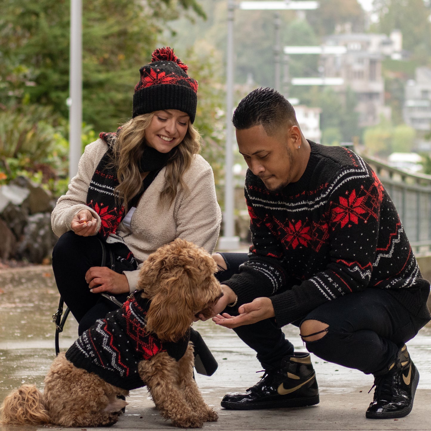 Winter Fair Isle Dog Sweater